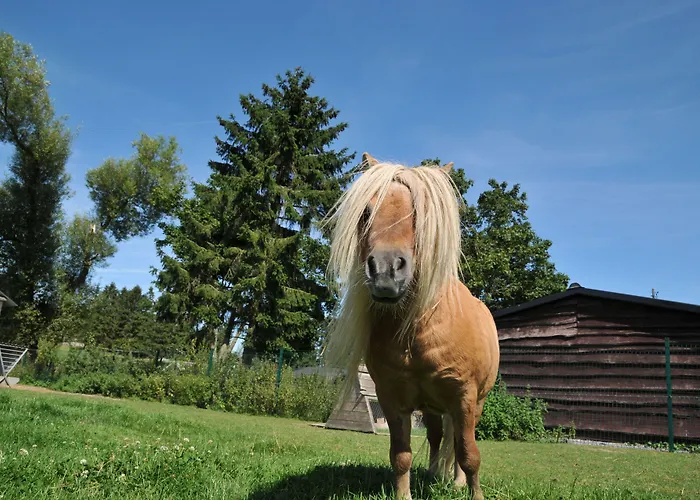 Résidence Thier Antoine Сasa de vacaciones Noiseux