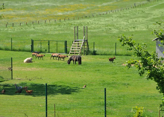 Résidence Thier Antoine Сasa de vacaciones Noiseux